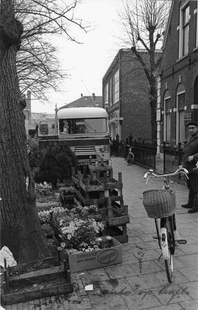 Groest 1980