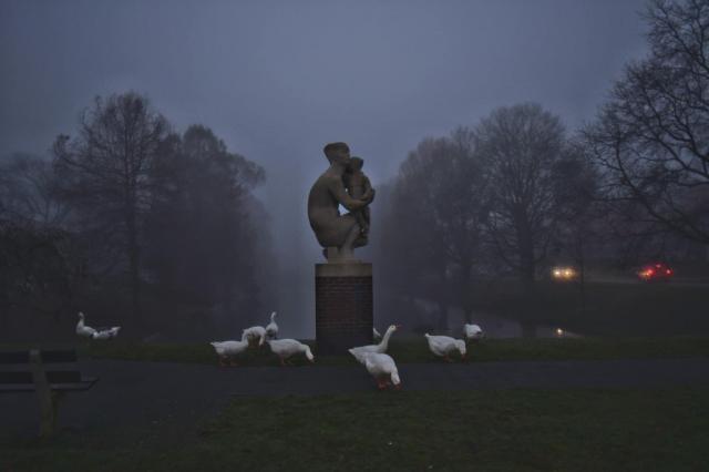 Lorentzvijver in de…