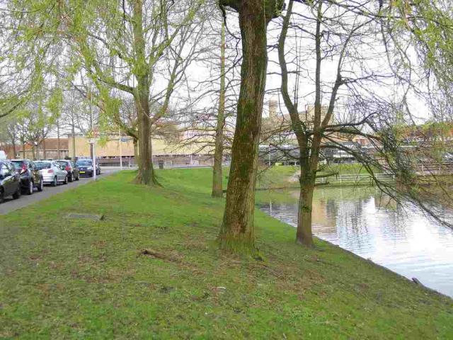 Lorentzweg Vijver e…