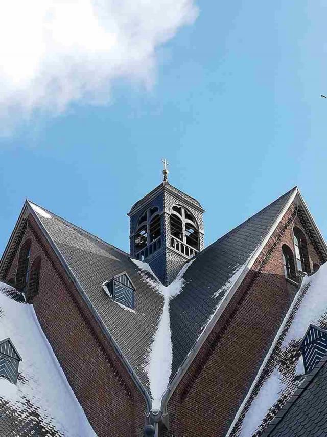 Bosdrift nr 55 voor…