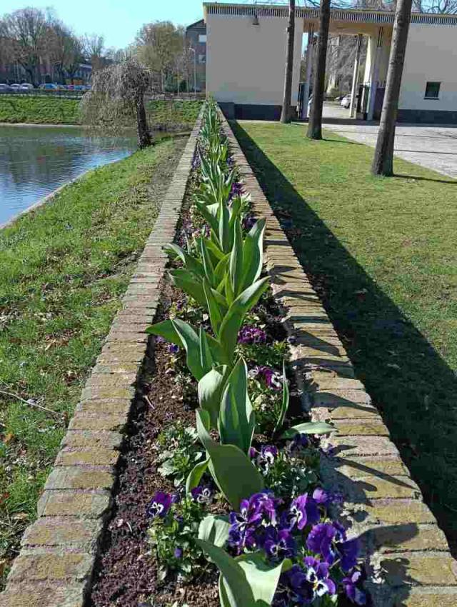 Laan 1940-1945 Noor…