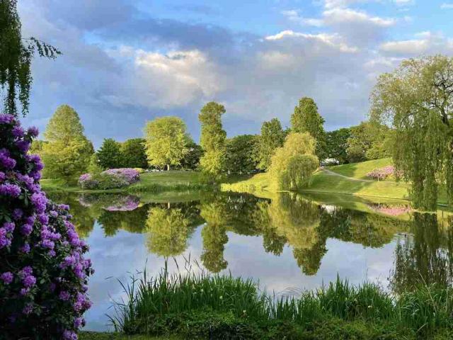 Laapersveld 19-05-2…
