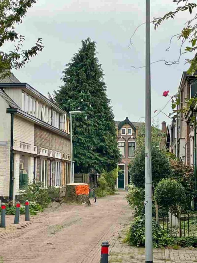 Kolenstraat Beuk om…